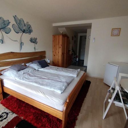 Liliana Vendeghaz Apartment Balatonfůzfő Cameră foto
