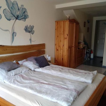 Liliana Vendeghaz Apartment Balatonfůzfő Cameră foto