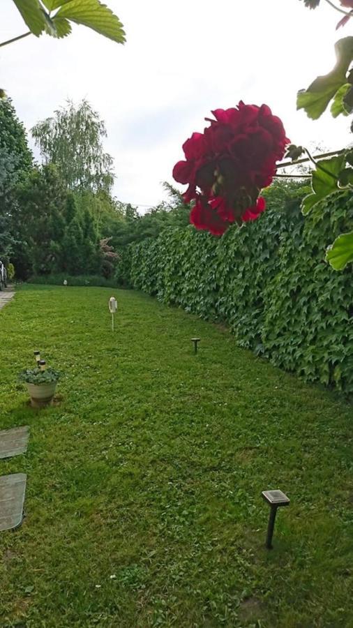 Liliana Vendeghaz Apartment Balatonfůzfő Exterior foto